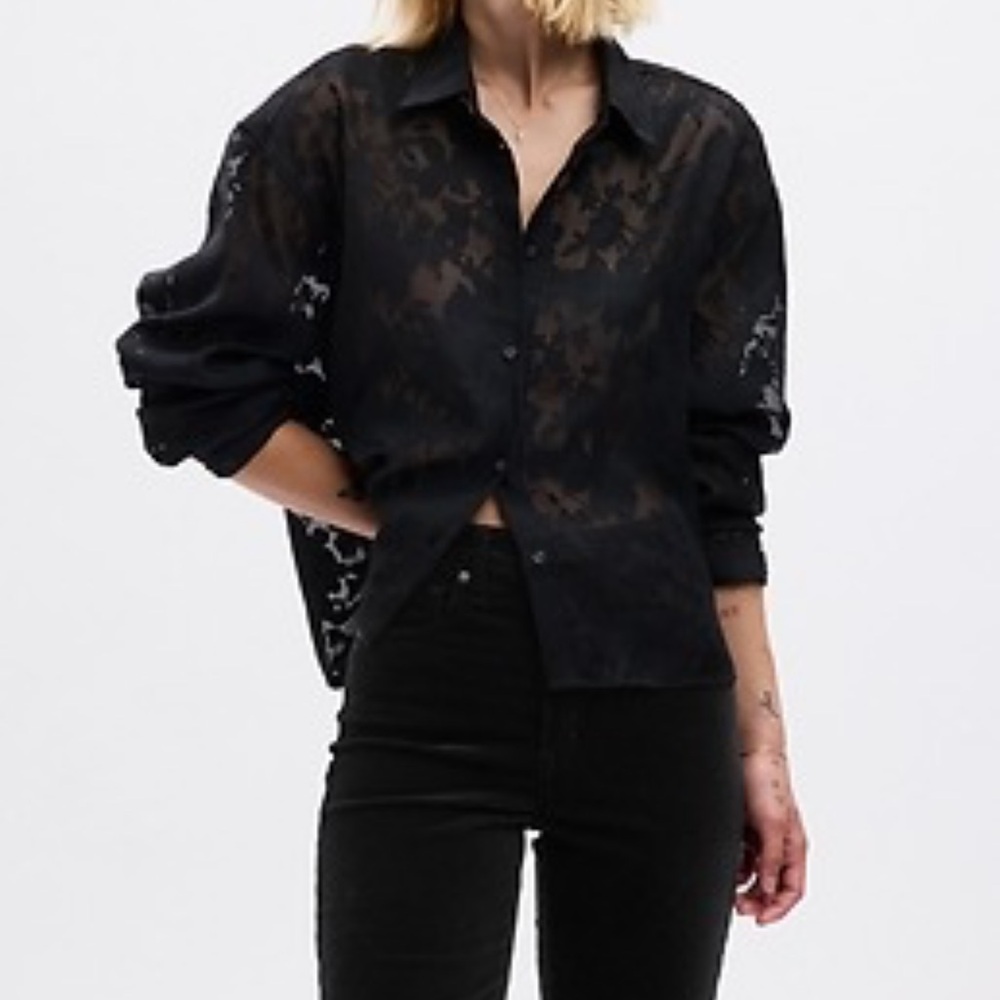 Just brand Elegant Black Sheer Women's Top